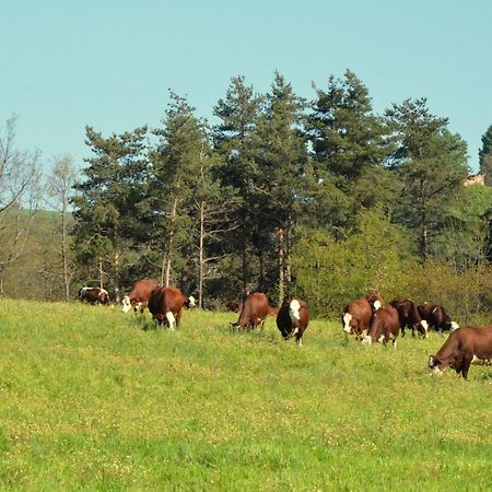 Gites A La Ferme De Bacon Saint-Sylvestre  Zewnętrze zdjęcie