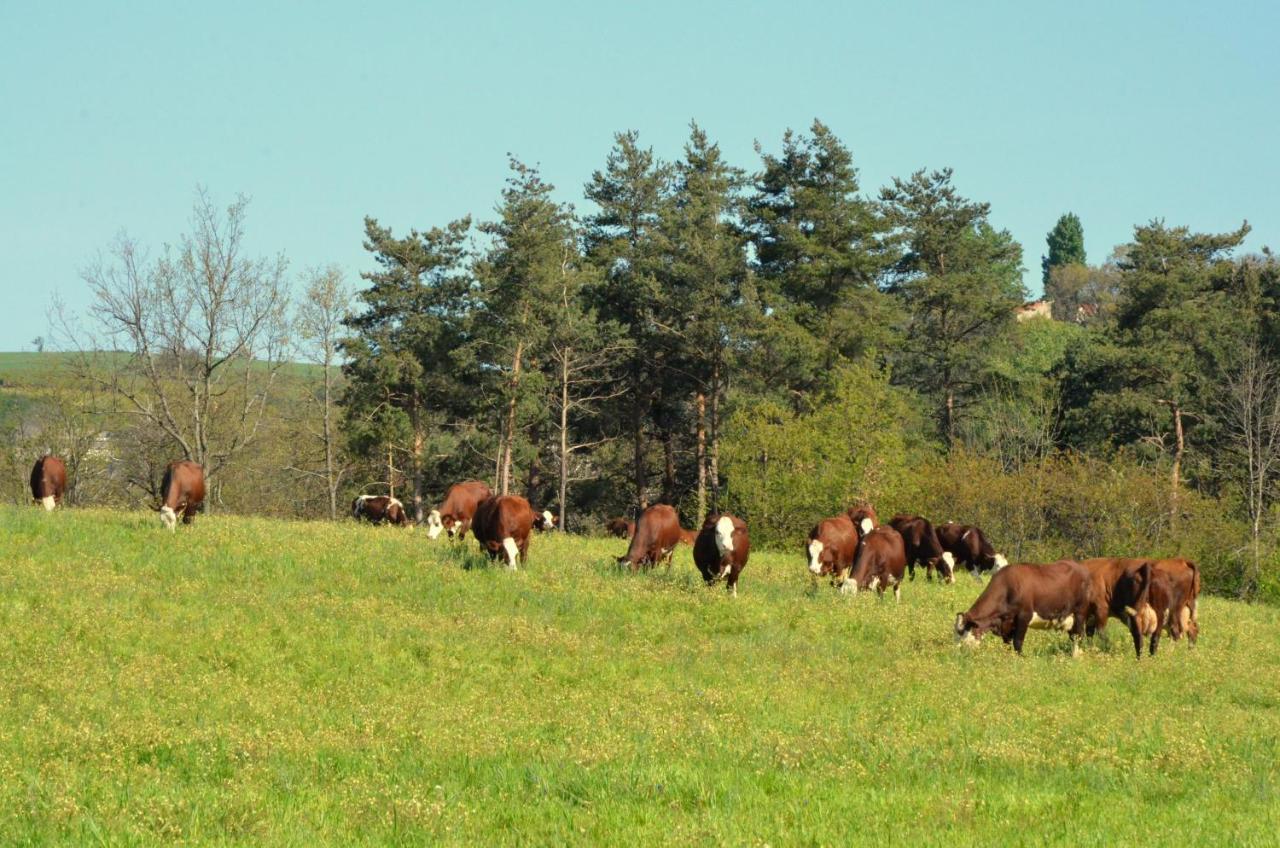 Gites A La Ferme De Bacon Saint-Sylvestre  Zewnętrze zdjęcie